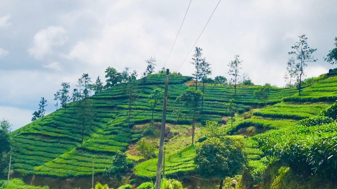 Tabor Hills Resort Vagamon Eksteriør bilde
