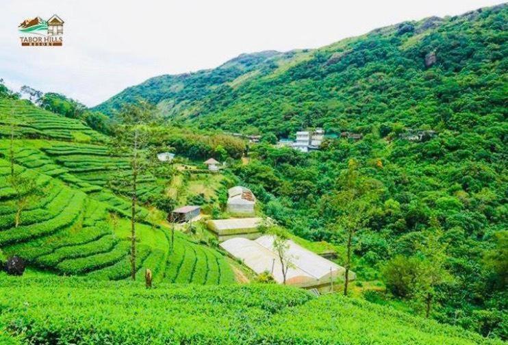 Tabor Hills Resort Vagamon Eksteriør bilde
